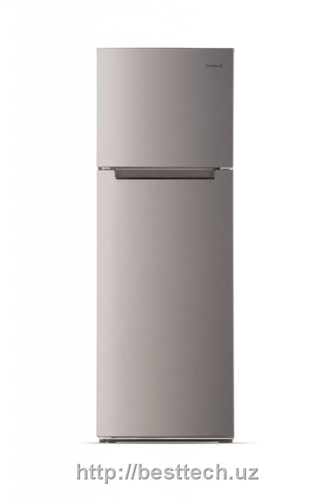Холодильник GOODWEL GRF-T265X#1