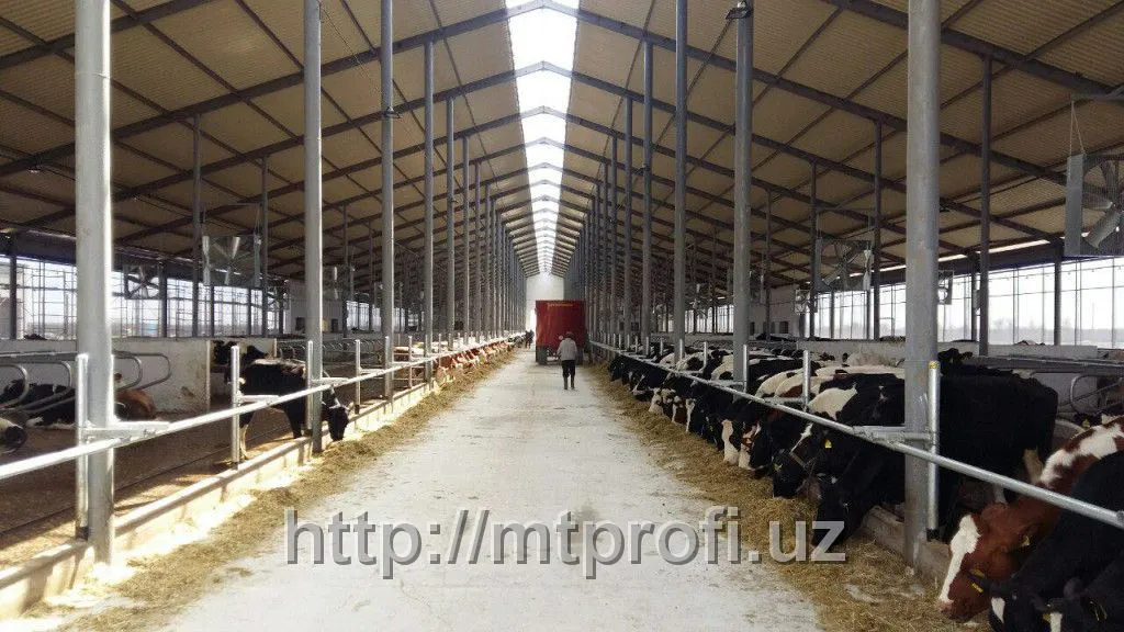 Животноводческий молочно-товарный комплексы#1