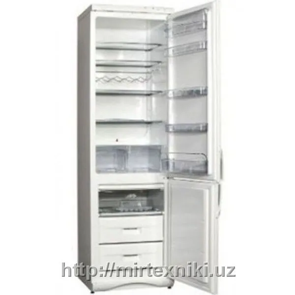 Холодильник Snaige RF390#1