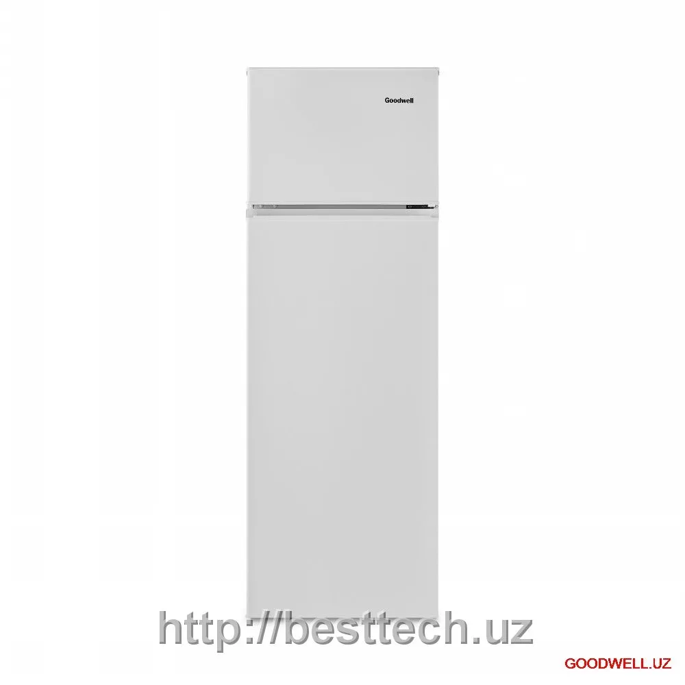 Холодильник GOODWEL GRF-240W#1