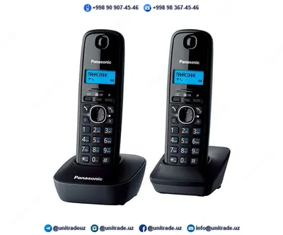 Радиотелефон Panasonic KX-TG1612#1