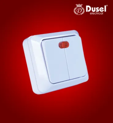 Выключатель с индикатором Dusel 2 DU-31