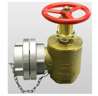 Противопожарный клапан / с редуктором давления / 2 1/2-дюймовый напольный водозаборный клапан