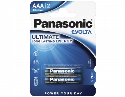 Щелочные батарейки Panasonic Evolta (AAA) LR03EGE/2BP  2 x 12=24