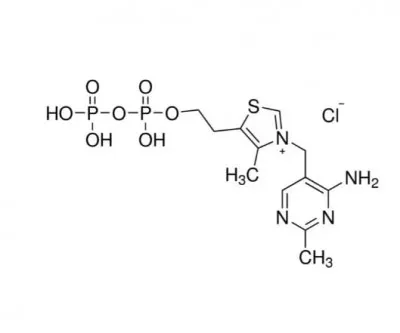 T8637-5G Дигидрат хлорида монофосфата тиамина, 5G