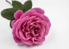 Отдушка с ароматом Французской розы