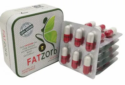 Fatzorb для похудения