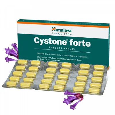 Таблетки Cystone forte, 60 г, 60 шт.