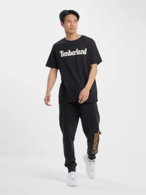 Спортивные штаны мужские Timberland TBB113