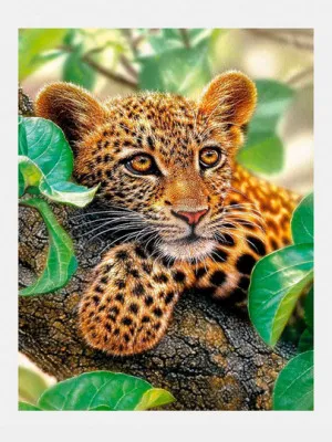 Алмазная мозаика 30х40 см "Леопард" без подрамника - 1