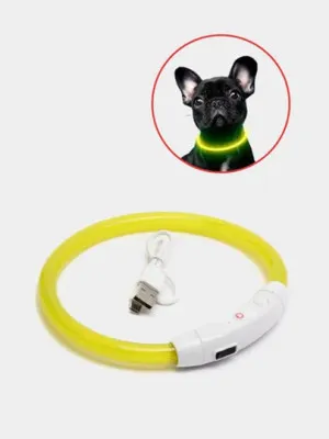 Светящийся LED ошейник силиконовый для собак на USB зарядке