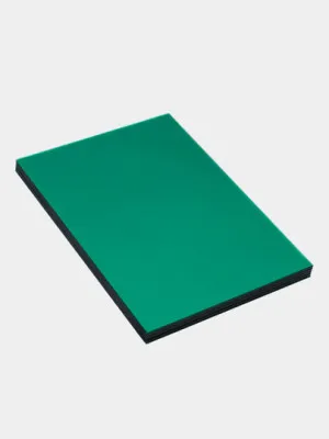 Обложка для переплета Bindi, пластиковая, зелёная, 0.18 мм, 100 шт