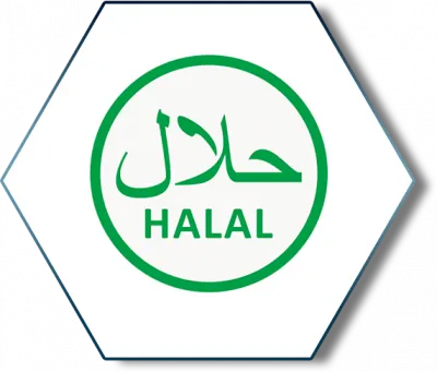Разработка и внедрение Halal