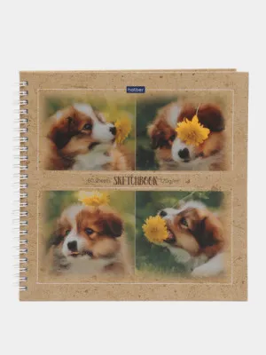 Тетрадь Hatber SketchBook, 60 листов, А4ф, 210 * 210 мм
