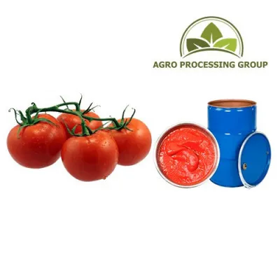Tomat pastasi (konsentrat)