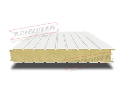 Стеновые сэндвич панели с ппу 100 ral 9003 белый