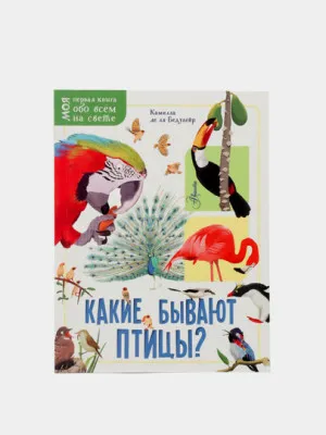 Моя первая книга обо всём на свете. Какие бывают птицы?