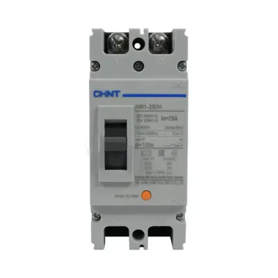 Автомат выключатель CHINT NM1-250H 2P 200A 220/380B 65/50kA