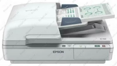 Сканер - EPSON WorkForce DS-6500
