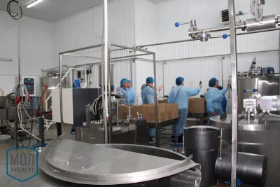 Мини завод по переработке молока на 100-500 л молока в сутки Молэксперт