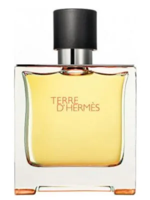 Erkaklar uchun parfyum Terre d'Hermes Parfum Hermes