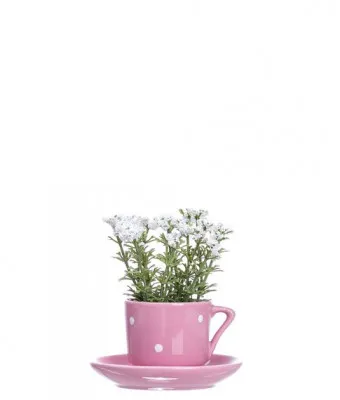 Декоративная чашка с блюдцем +цветок ( 10 см) №286