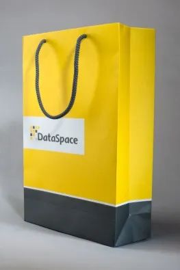 Фирменный бумажный пакет data space