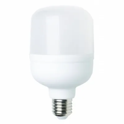 Лампа LED T100MM 30W 100-265V 6000K E27 8/12