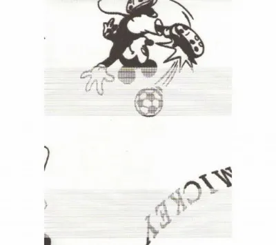 Рулонные кассетные жалюзи КOMBO 20118-4