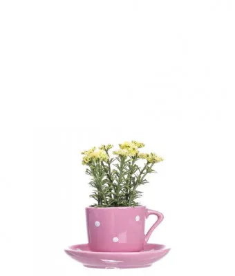 Декоративная чашка с блюдцем +цветок ( 10 см) №285