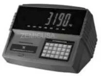 Весовой индикатор DM1p(с принтером)