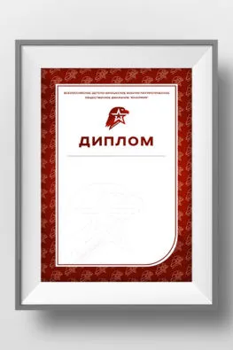 Диплом движения юнармия (Москва)