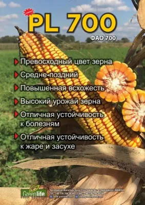 Семена кукурузы (маккажухори уруги)