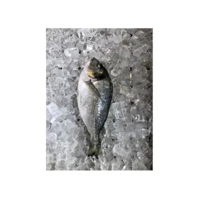 Рыба дорадо, свежемороженая