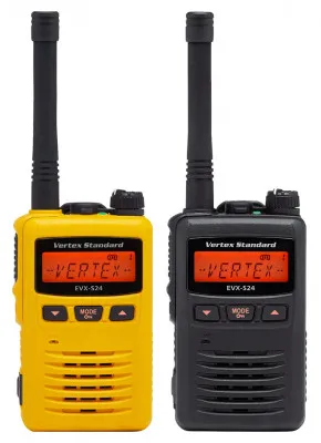 Радиостанция портативная стандарт DMR EVX-S24