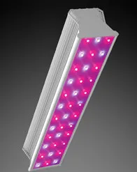 Светодиодная фитолампа LED СКУ01 “Fito” 100w