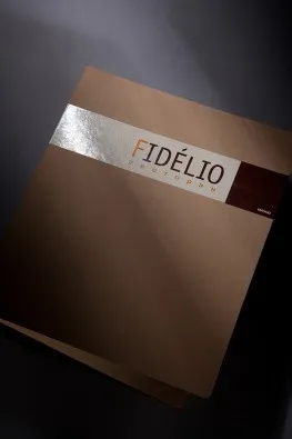Вырубная папка с клапаном fidelio