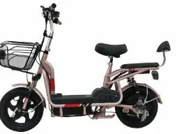 FM-F1 elektr moped