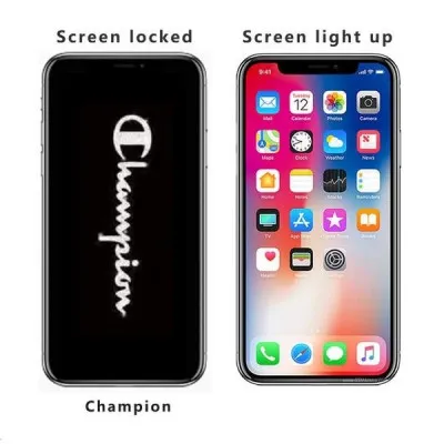 Защитная пленка для экрана из закаленного стекла с рисунком (Champion) Iphone X/Xs 11 Pro