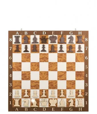 Демонстрационная шахматная доска 70х70 см