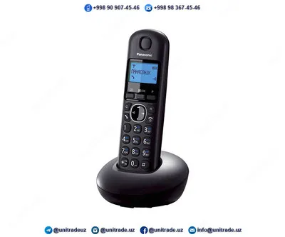 Радиотелефоны Panasonic KX-TGB210