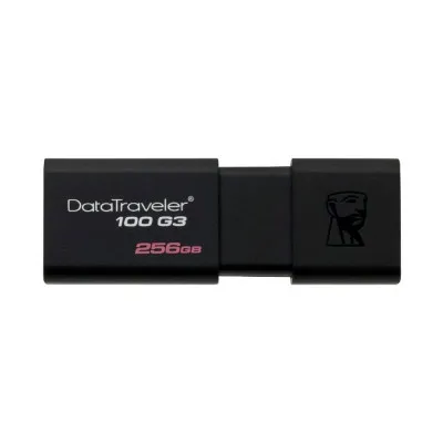 USB-разъем Kingston DataTraveler 100 G3 256GB