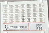 OYDIN ELECTRIC Прожектор со светодиодными лампами SMD 30Вт  "FLASH"