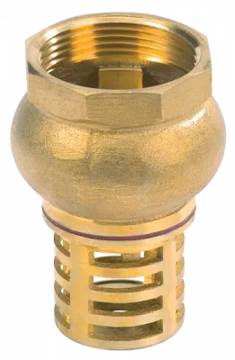 Приемный клапан Foot valve