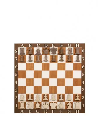 Демонстрационная шахматная доска 50х50 см